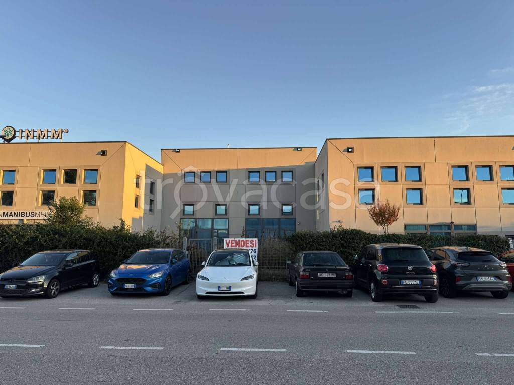 immagine annuncio 5 di 12