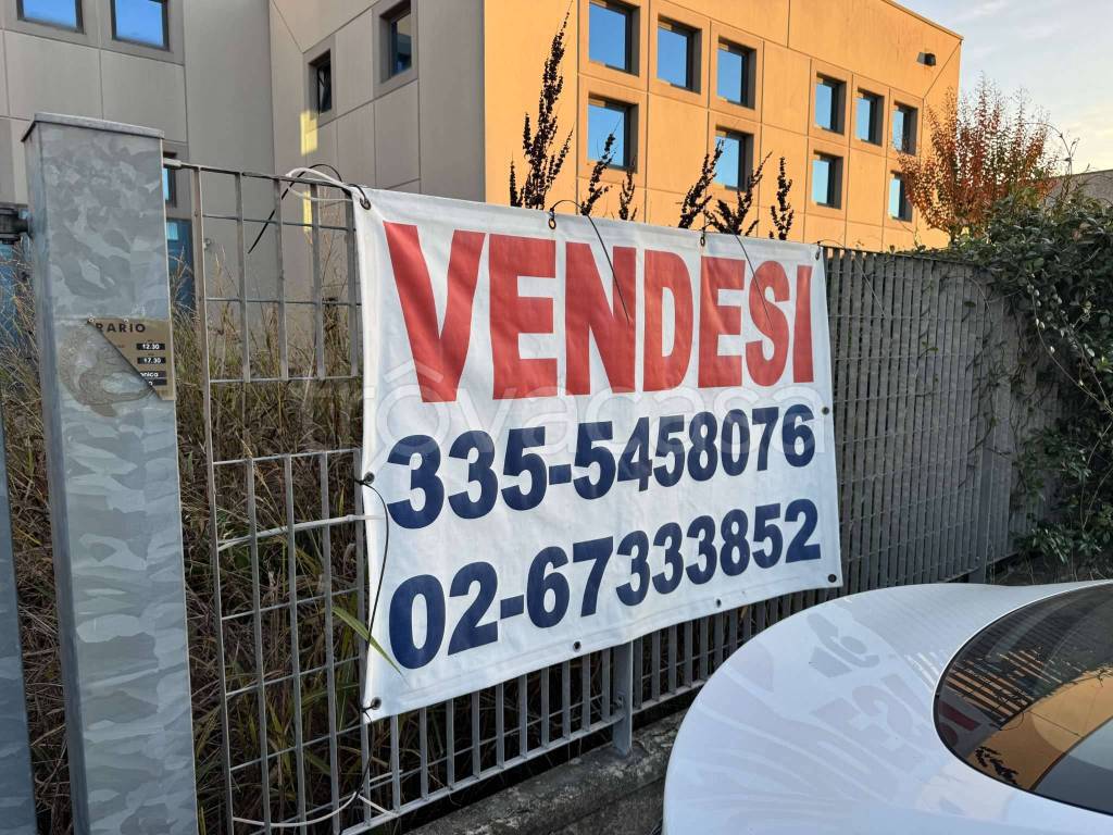 immagine annuncio 6 di 12