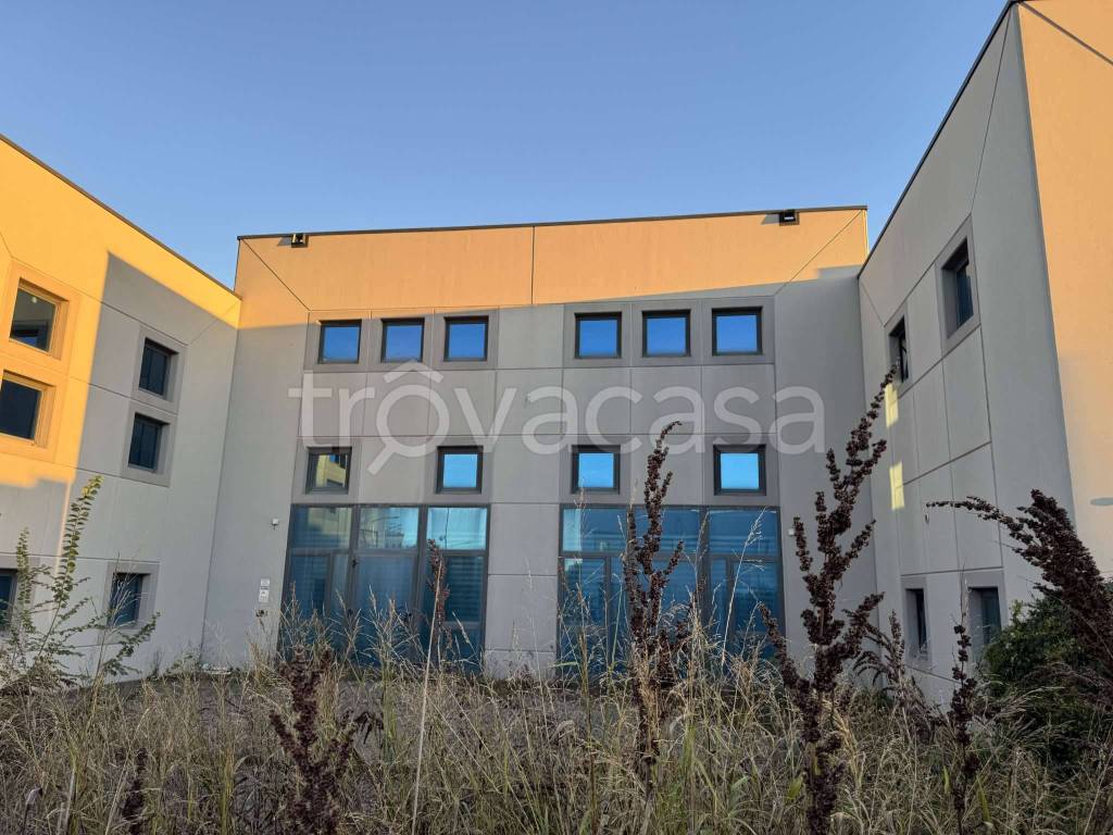 immagine annuncio 8 di 12