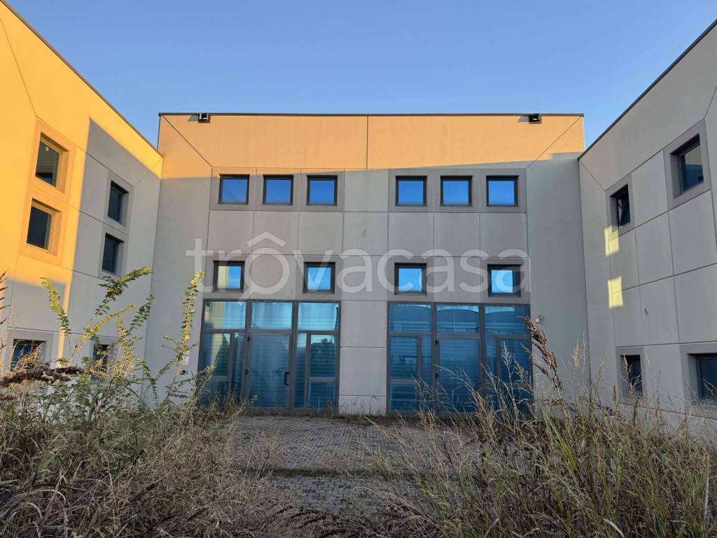 immagine annuncio 9 di 12