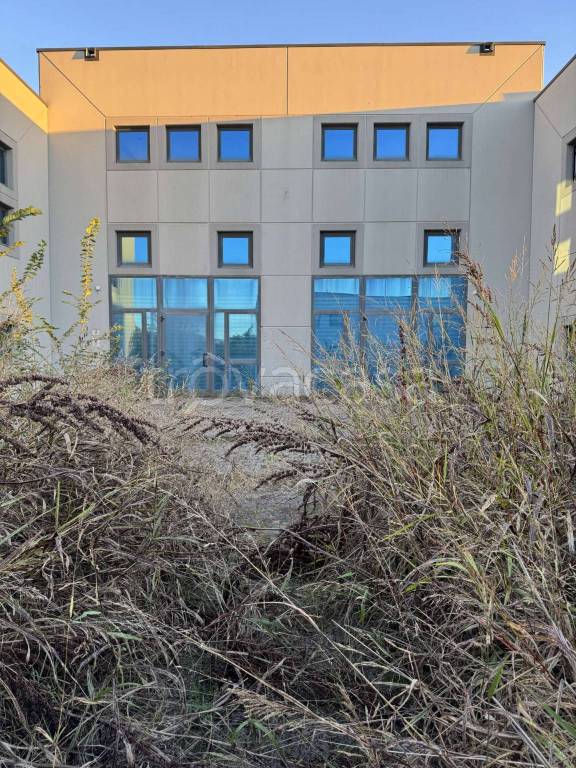 immagine annuncio 10 di 12