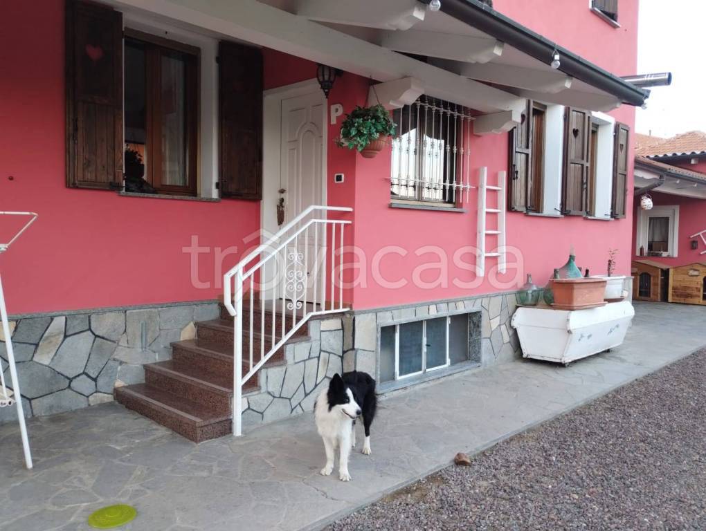 immagine annuncio 2 di 15