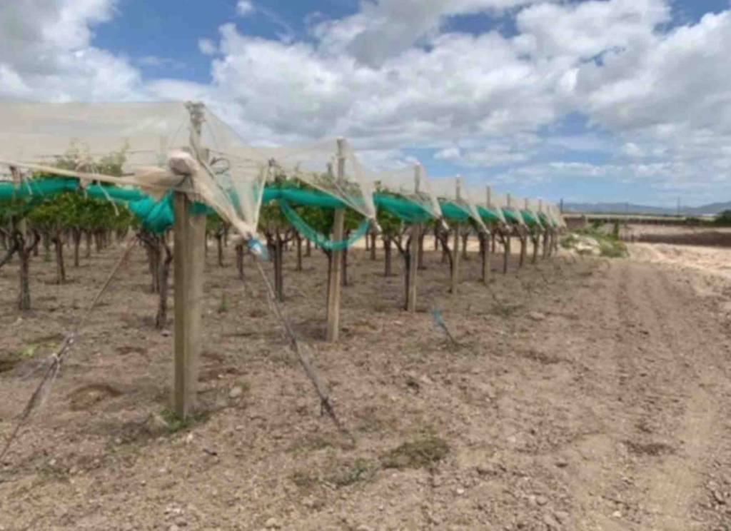 immagine annuncio 9 di 14