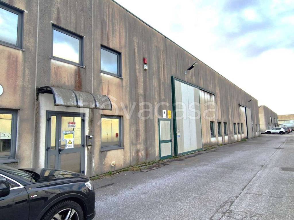 immagine annuncio 5 di 15