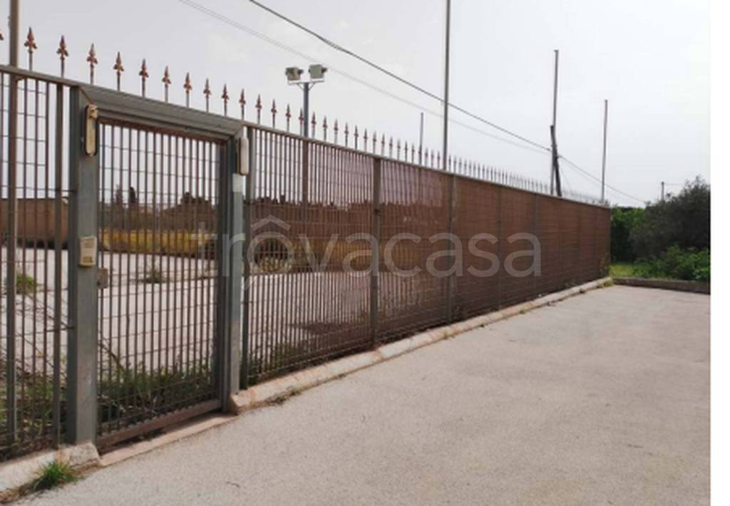 immagine annuncio 8 di 9