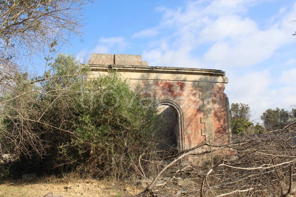 immagine annuncio 6 di 11