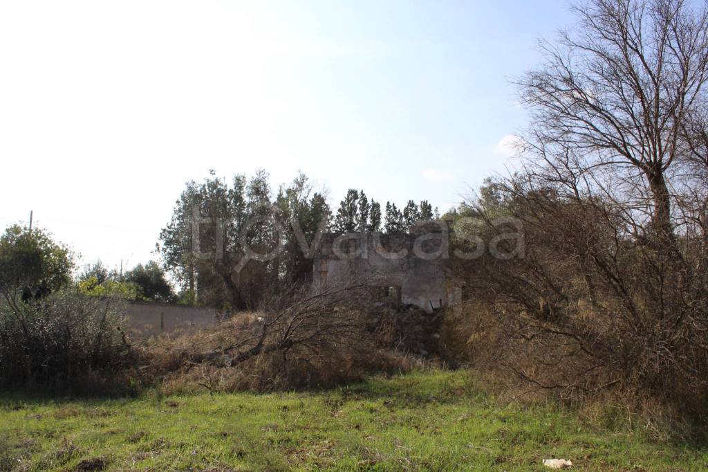 immagine annuncio 7 di 11