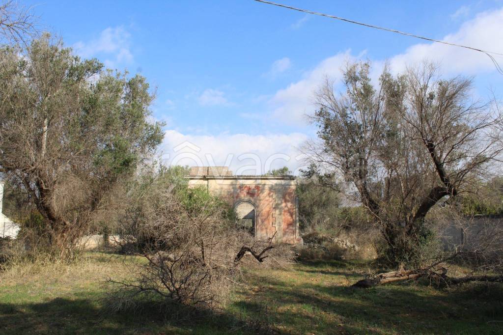 immagine annuncio 9 di 11