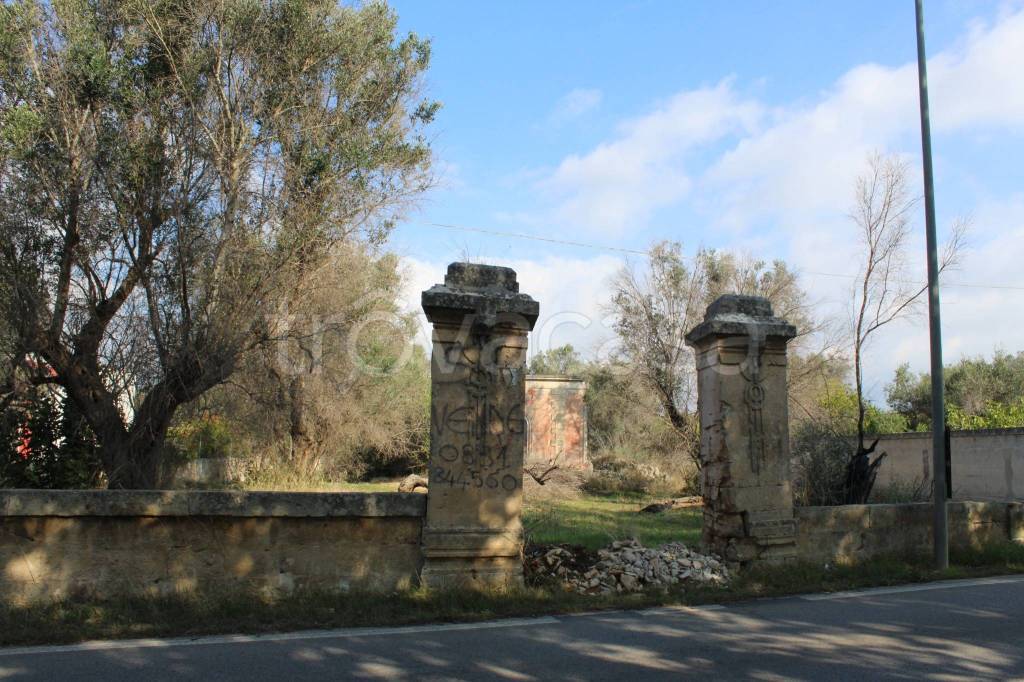 immagine annuncio 10 di 11