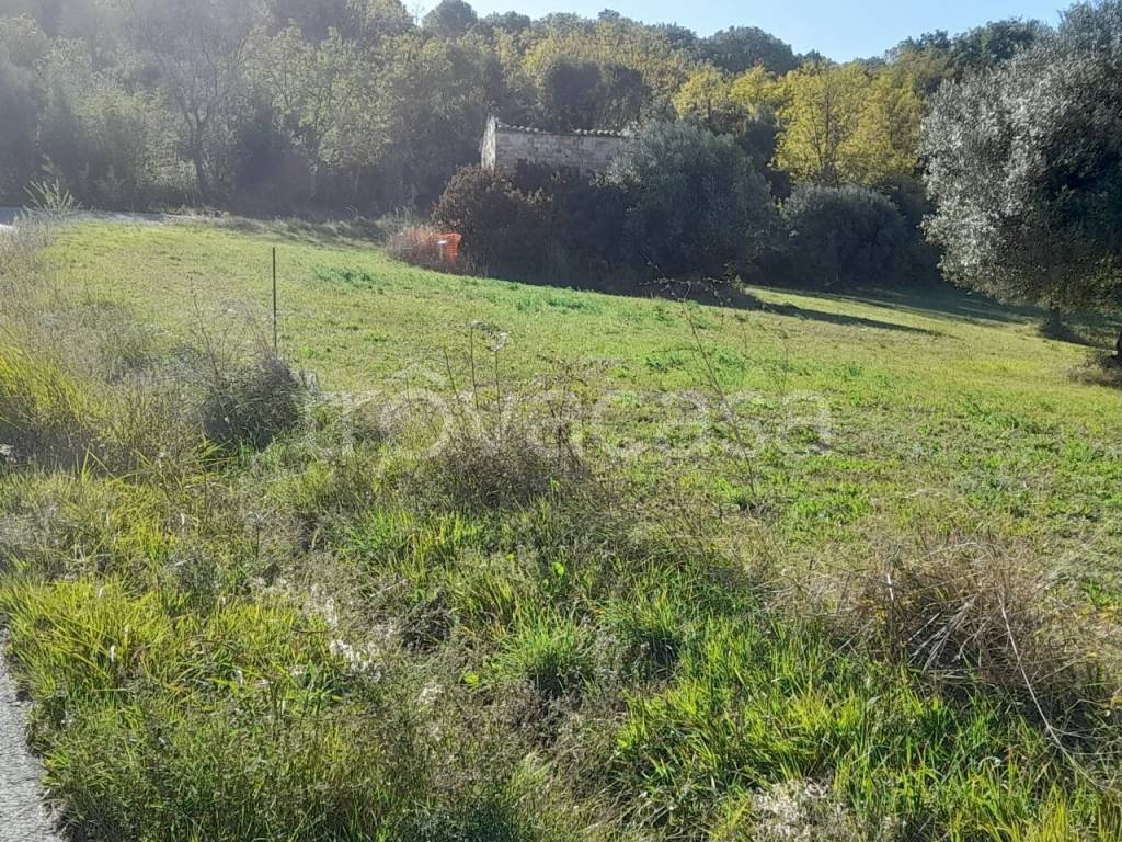 immagine annuncio 4 di 11