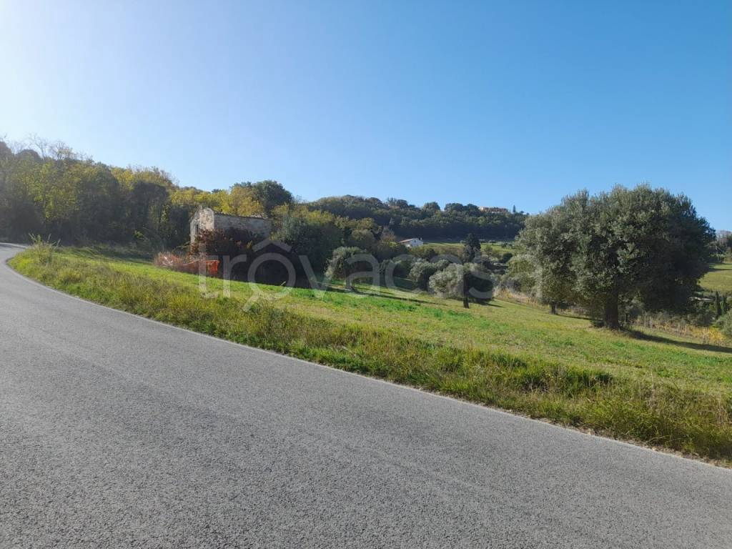 immagine annuncio 7 di 11