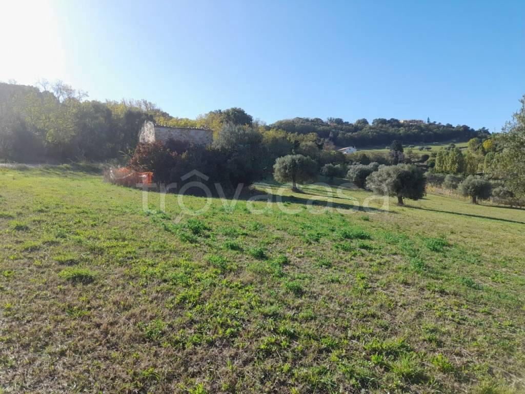 immagine annuncio 8 di 11