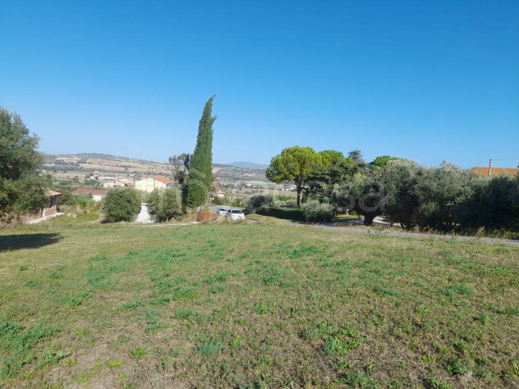 immagine annuncio 9 di 11