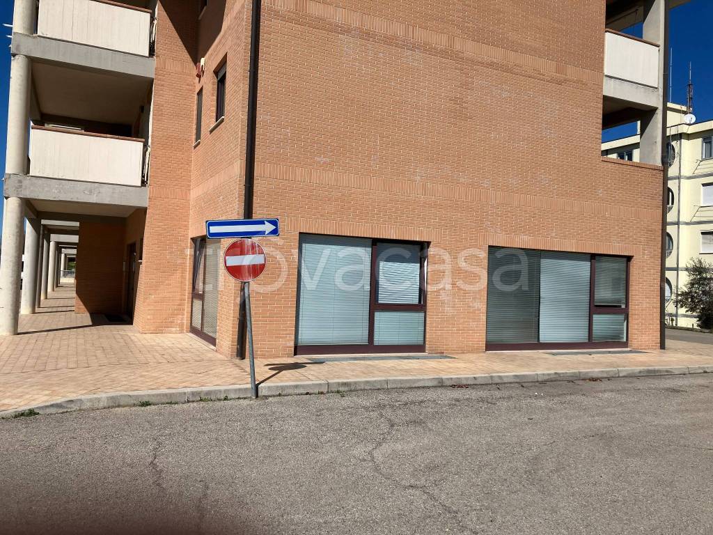 immagine annuncio 8 di 11