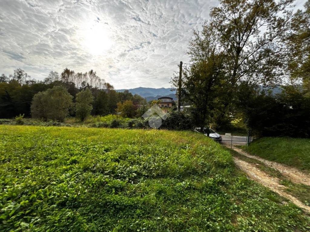 immagine annuncio 7 di 12