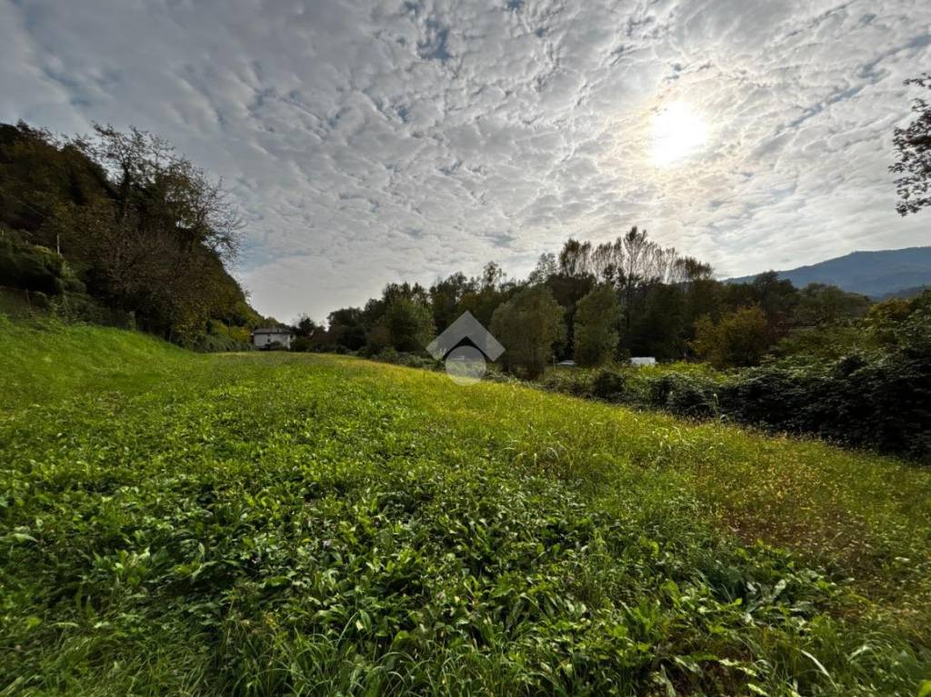 immagine annuncio 8 di 12