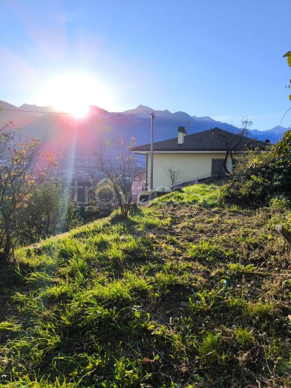 immagine annuncio 3 di 8