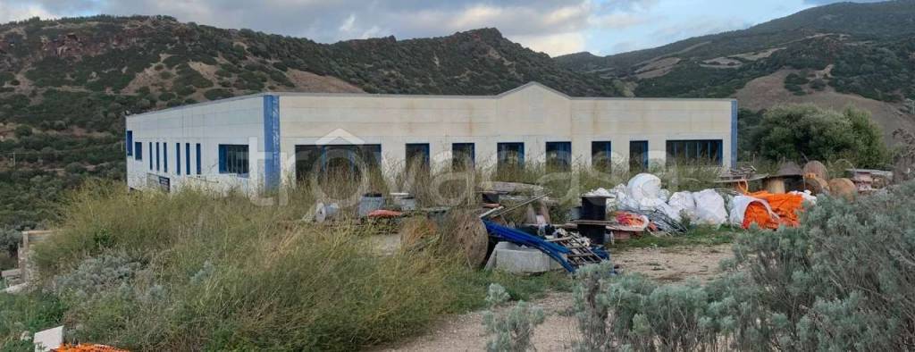 immagine annuncio 7 di 14