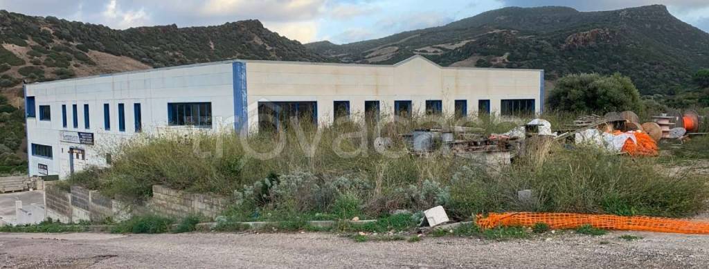 immagine annuncio 10 di 14