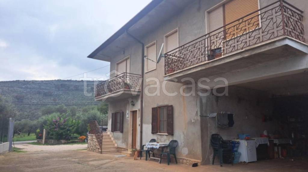 immagine annuncio 10 di 11