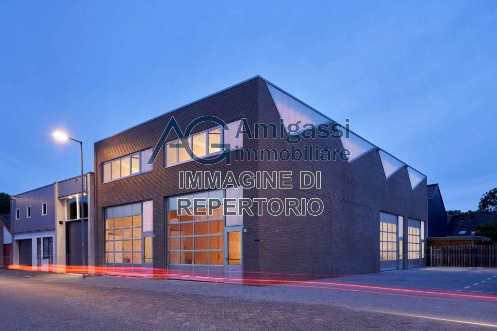 immagine annuncio 11 di 15