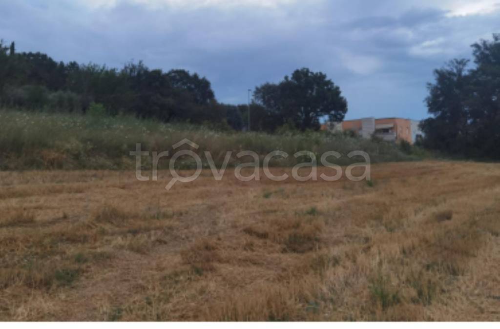 immagine annuncio 4 di 9