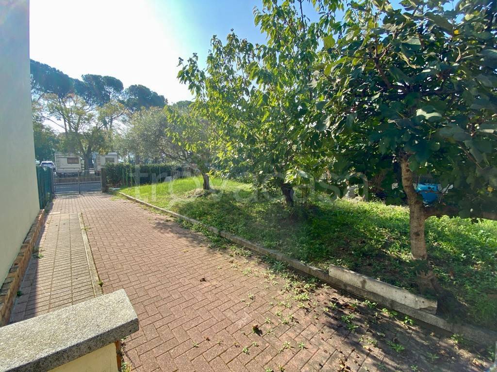 immagine annuncio 5 di 14