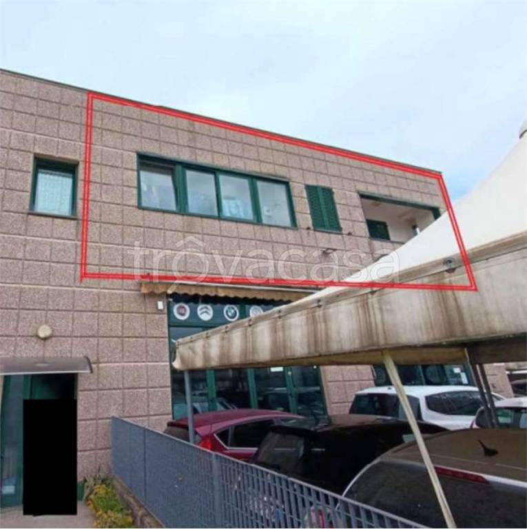 immagine annuncio 4 di 14