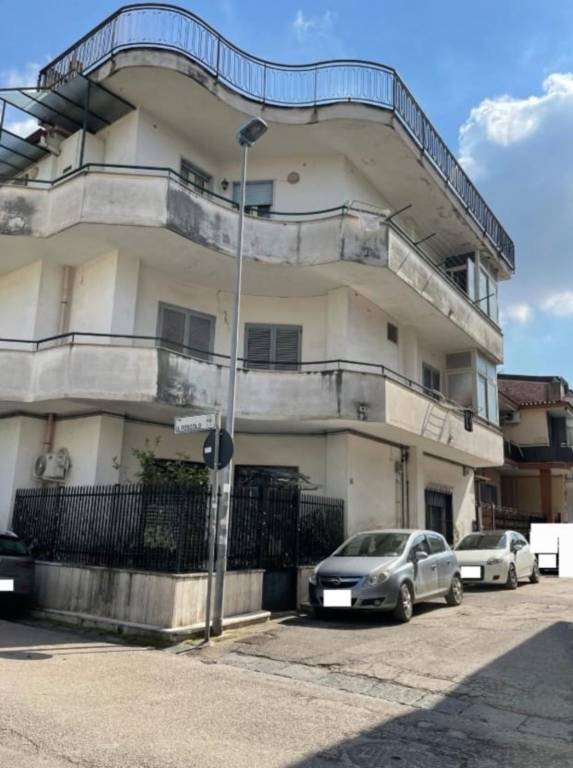 immagine annuncio 9 di 12