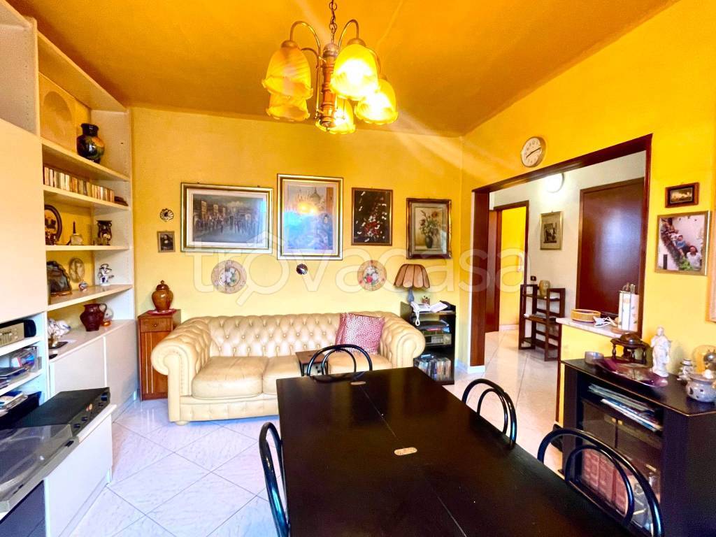 immagine annuncio 4 di 14