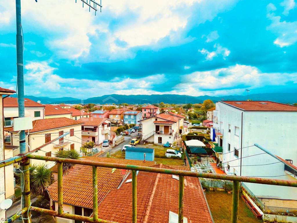 immagine annuncio 2 di 14