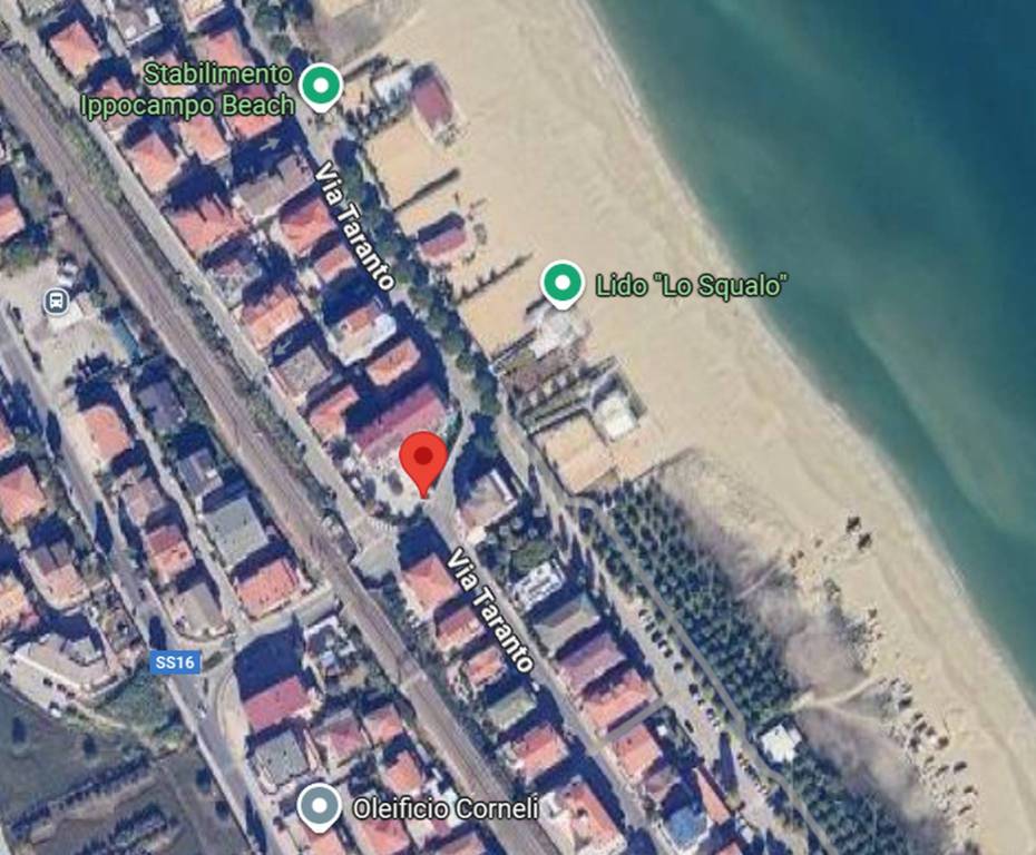 immagine annuncio 2 di 12