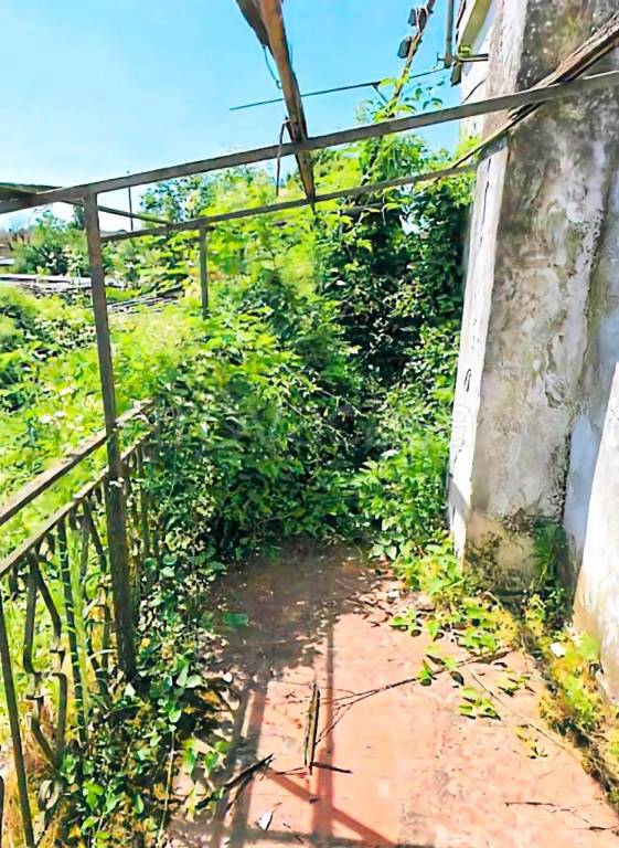 immagine annuncio 7 di 8