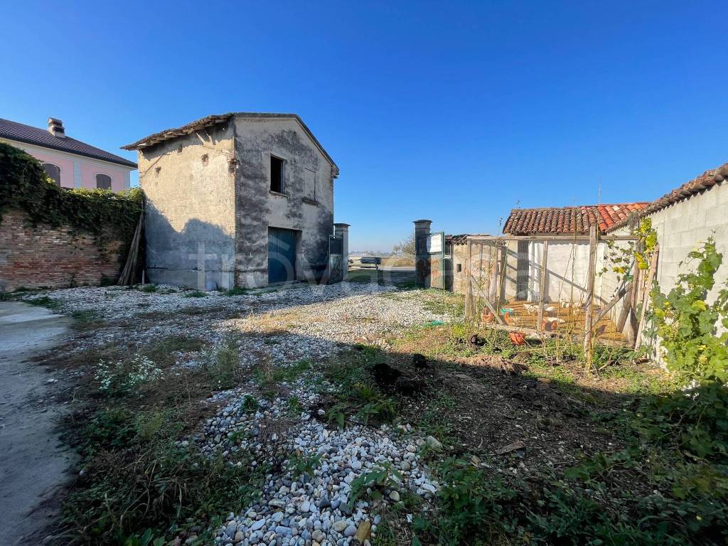 immagine annuncio 3 di 12