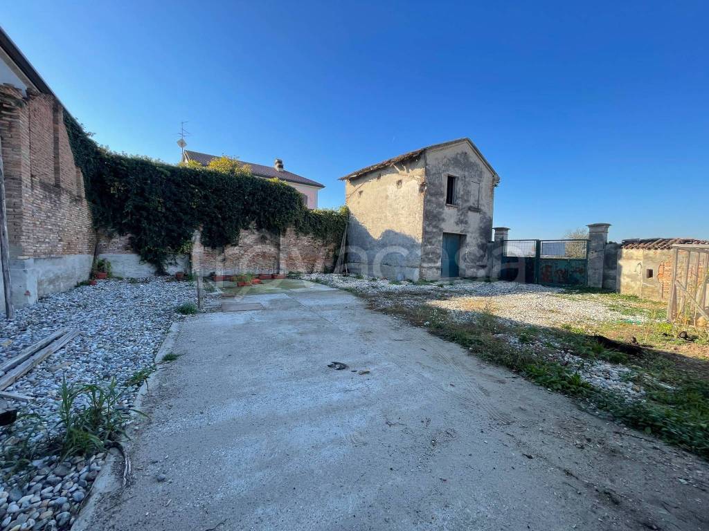 immagine annuncio 6 di 12