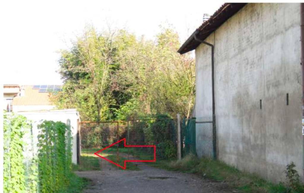 immagine annuncio 4 di 7