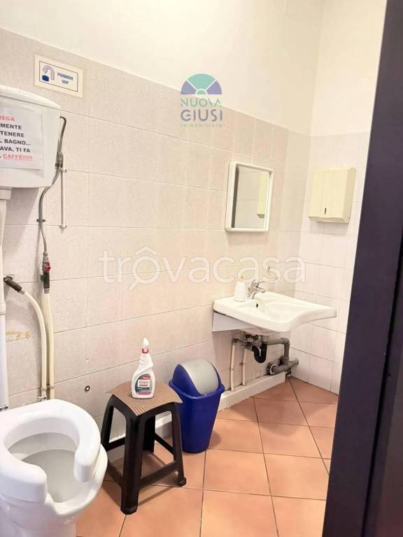 immagine annuncio 10 di 14