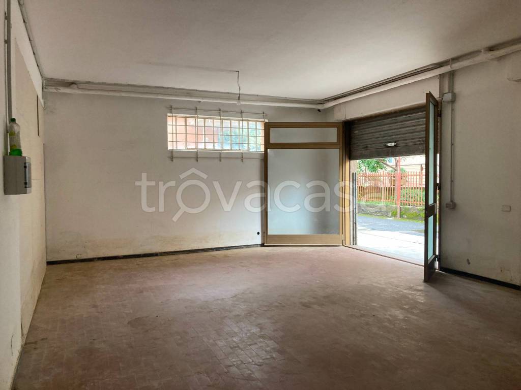 immagine annuncio 4 di 9