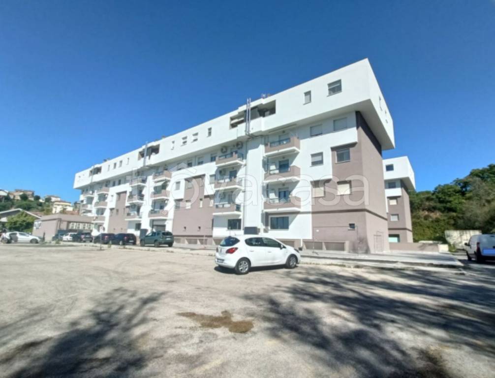 immagine annuncio 2 di 13