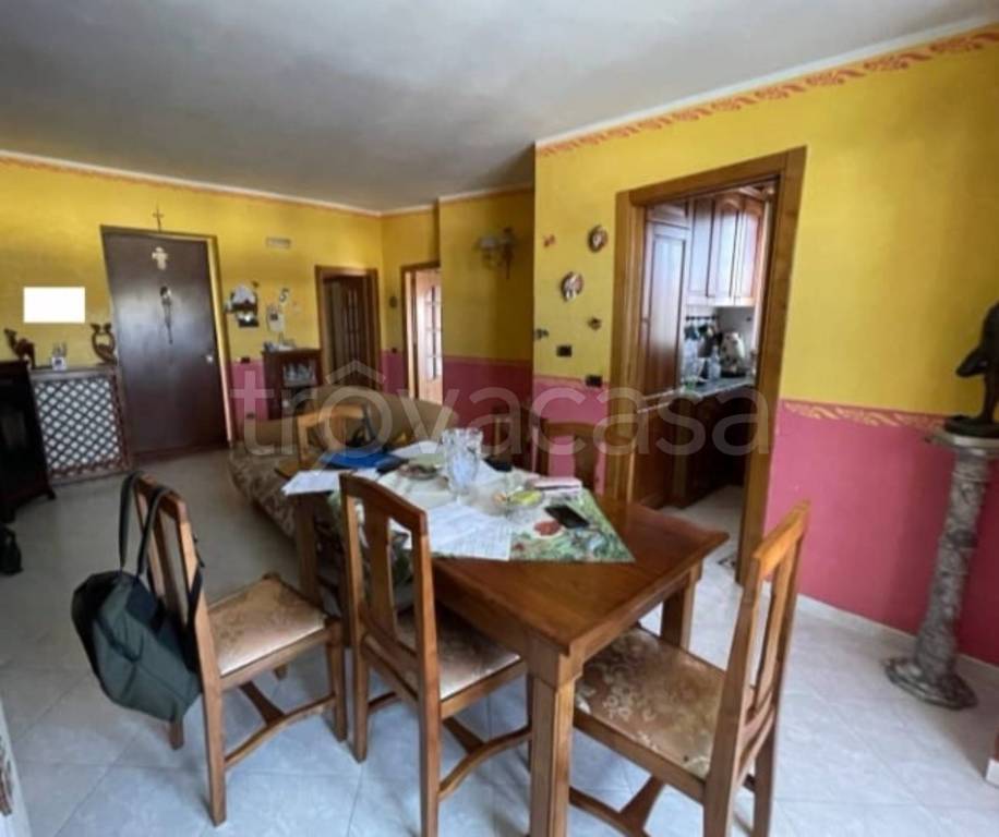 immagine annuncio 9 di 14