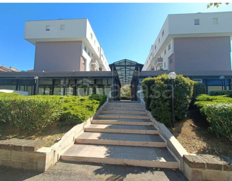 immagine annuncio 9 di 13