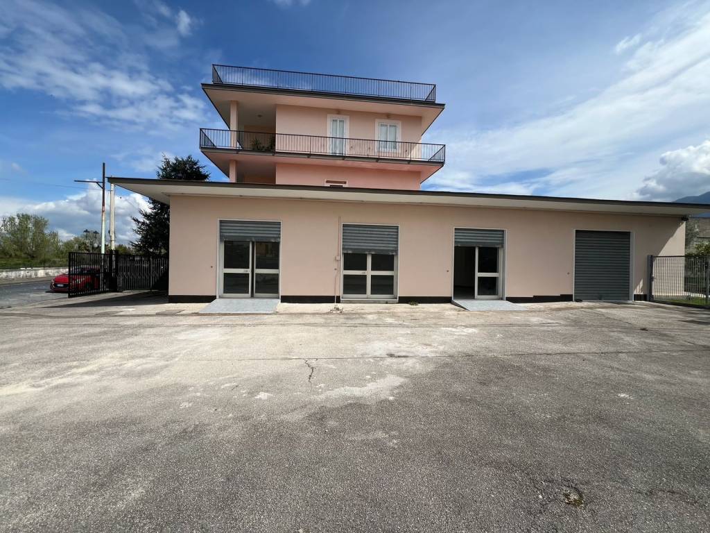 immagine annuncio 2 di 13