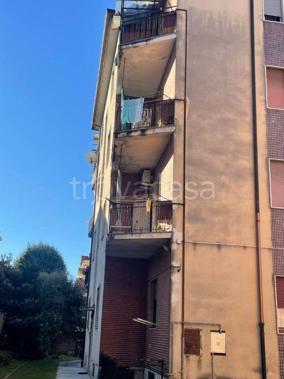 immagine annuncio 11 di 14