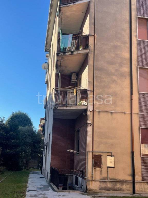 immagine annuncio 12 di 14