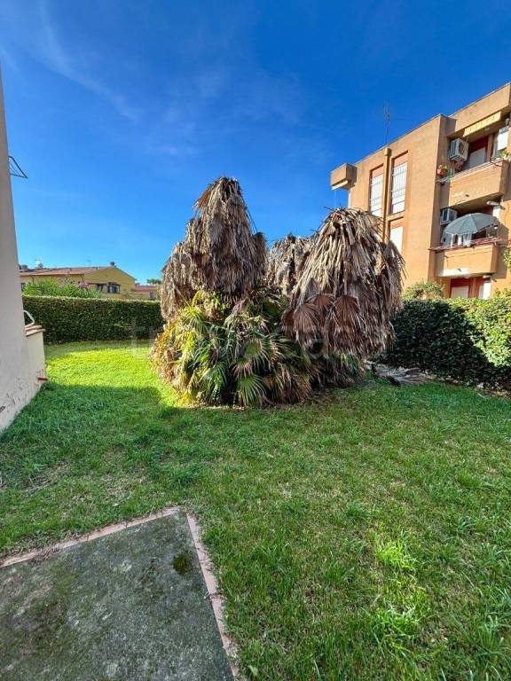 immagine annuncio 9 di 11