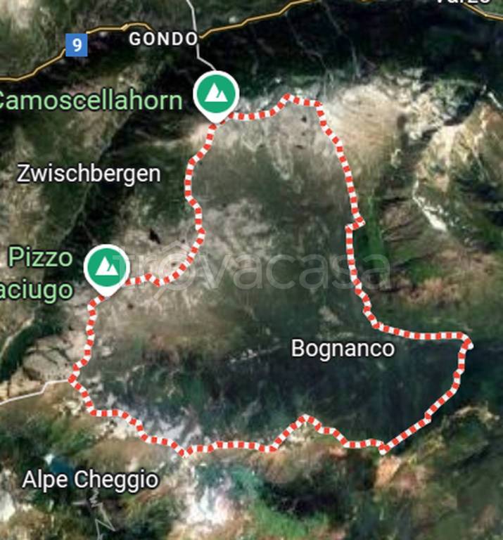 immagine annuncio 7 di 11