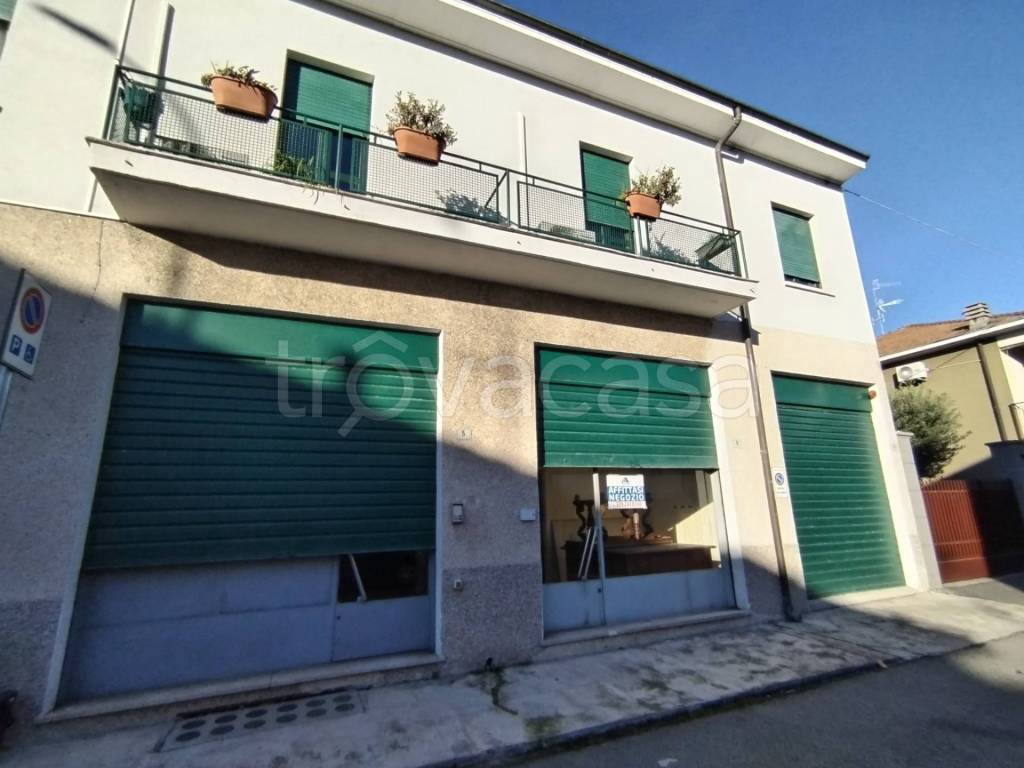 immagine annuncio 1 di 11