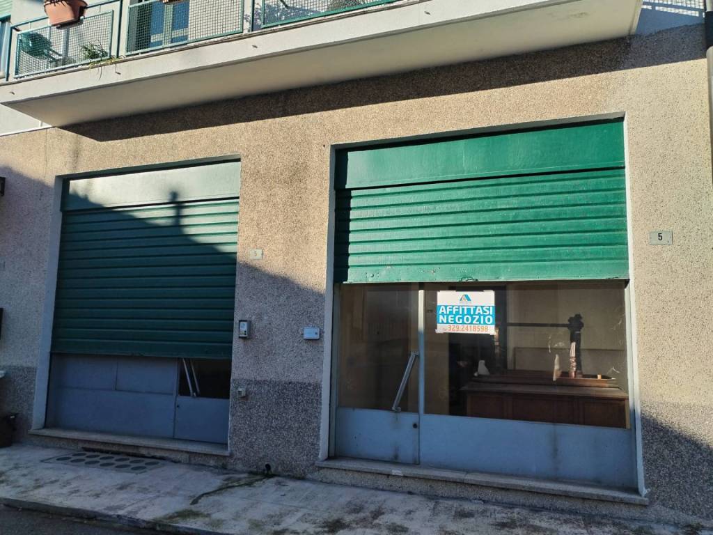 immagine annuncio 3 di 11