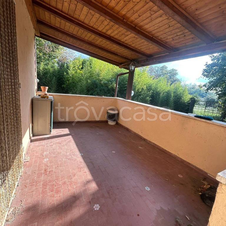 immagine annuncio 11 di 14