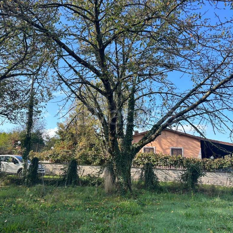 immagine annuncio 4 di 14